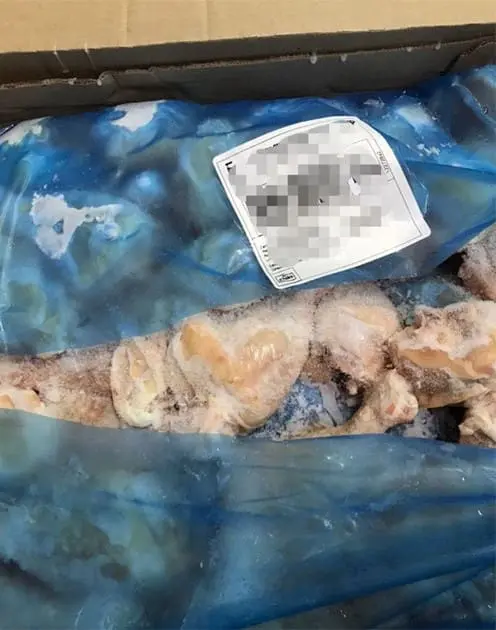 smuggled frozen chicken