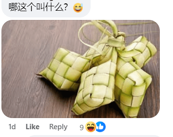 China influencer call nasi lemak rice dumpling (4)