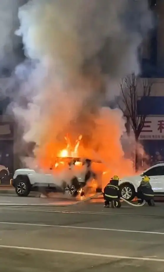 China man's RM240k BYD car