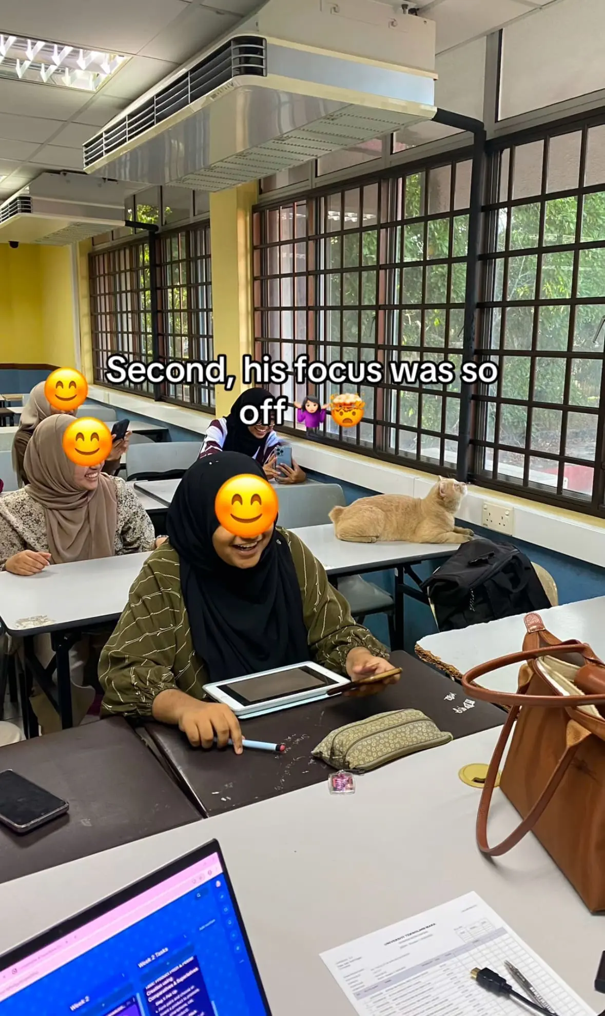 chonky cat at class 4