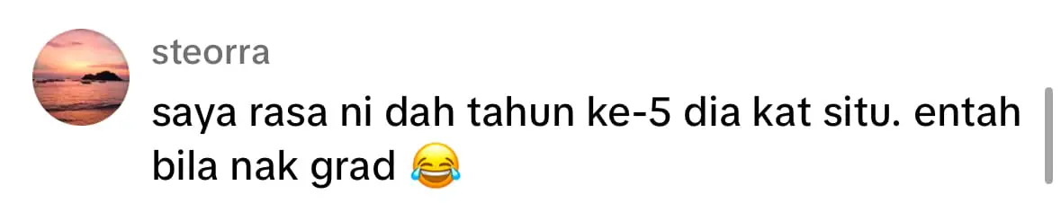 chonky cat at class - netizen comment 1