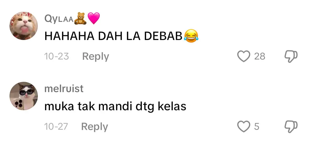 chonky cat at class - netizen comment 2