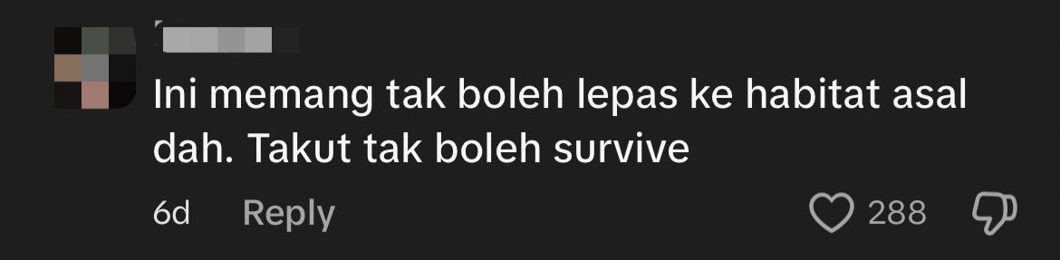 'Is It A Bear?’ — Chonky Panther At Zoo Negara Leaves Netizens Amused & Concerned Over Its Size comment 3