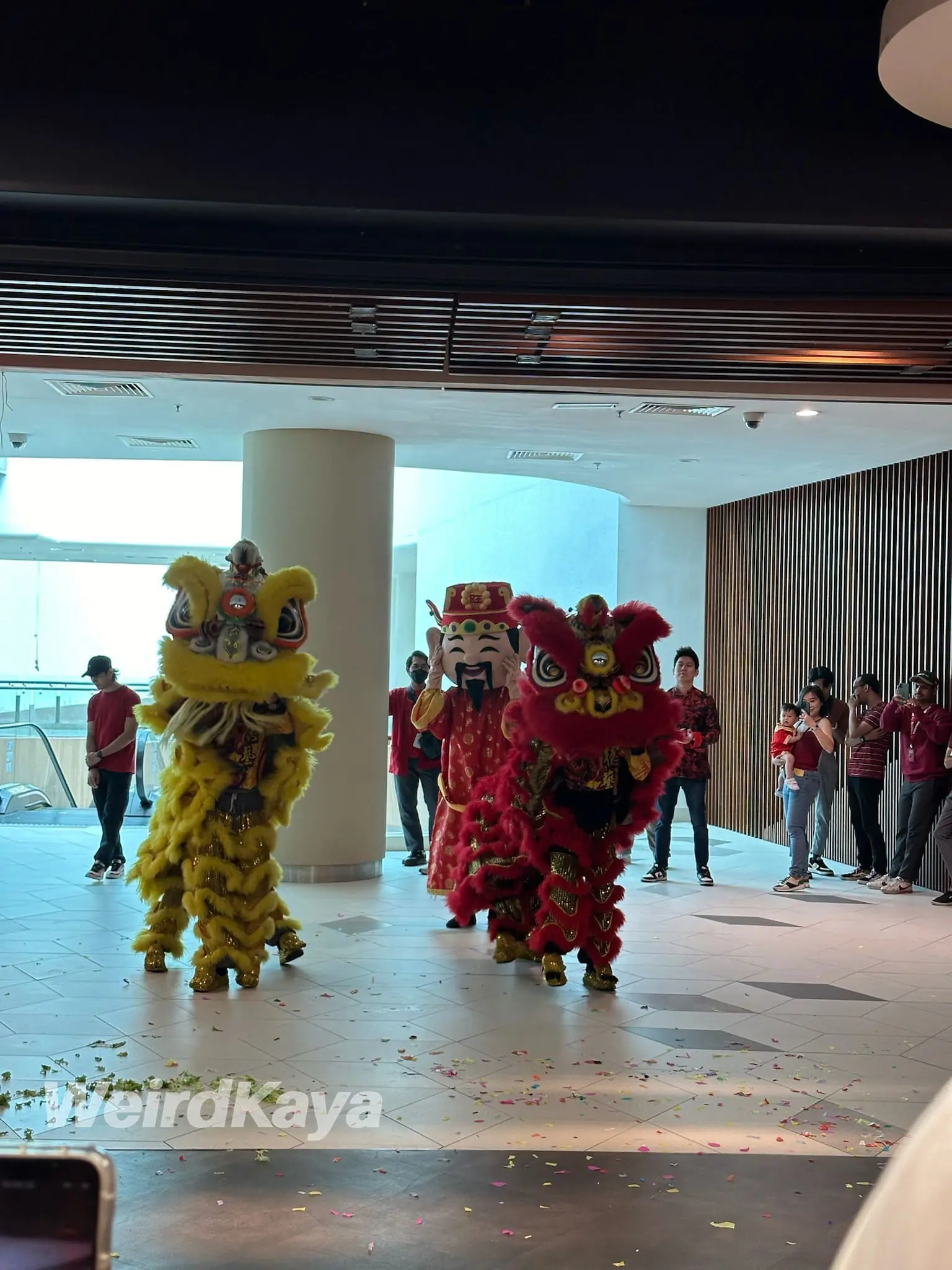 CNY Celebration Lion Dance