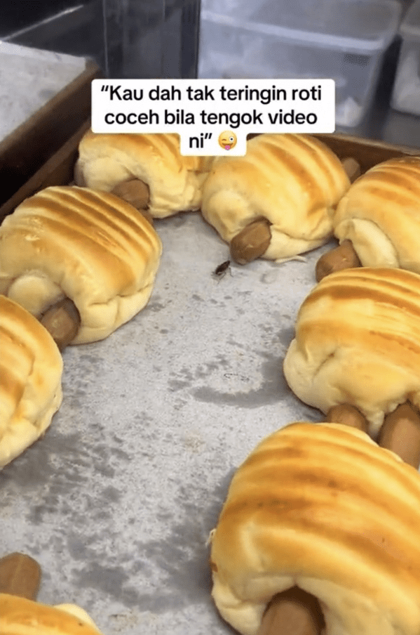 cockroach inside food display