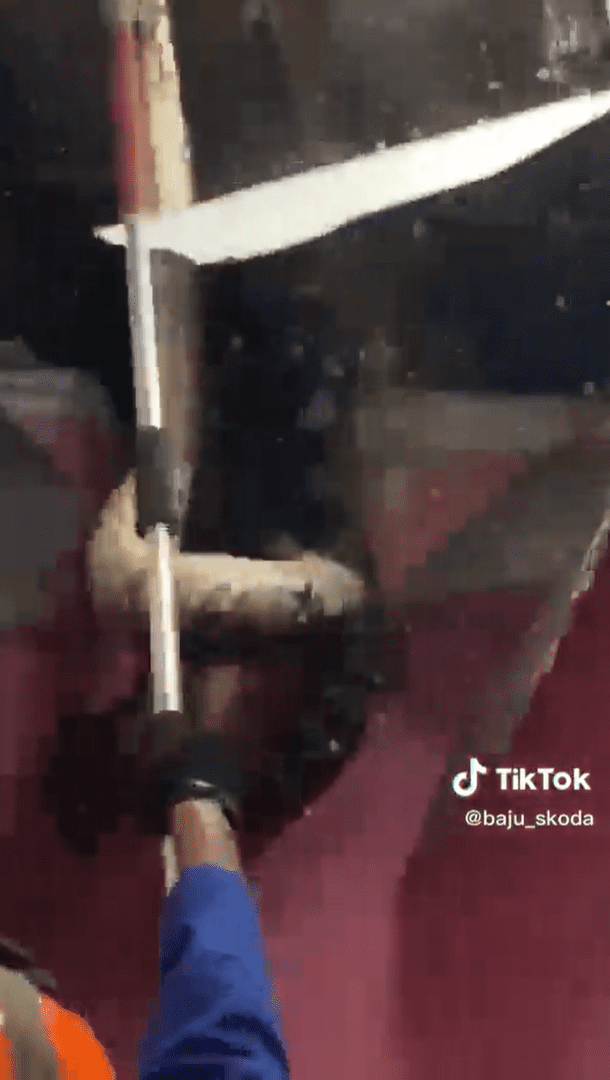 2 giant pythons fall through ceiling in Bentong