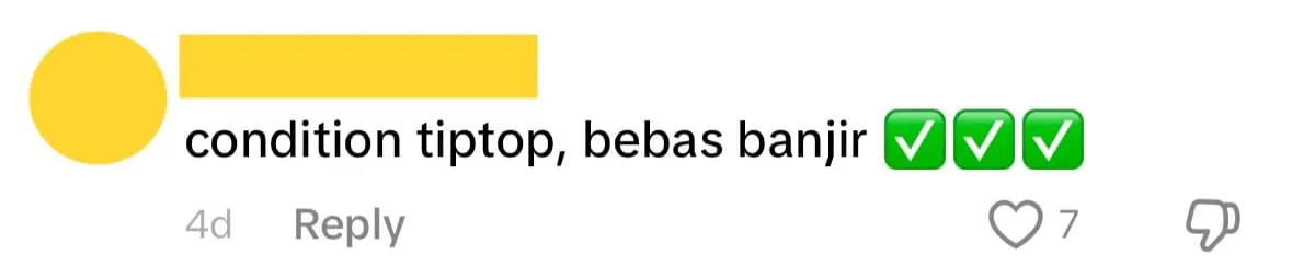 Comment 03_'New King Of The Road?' - Axia Seen Braving Through Flooded Area In Kelantan Smoothly