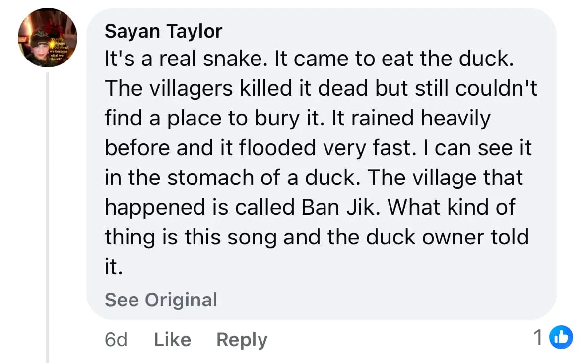 comment A Massive Python Spotted Swaying In Floodwaters Amid Devastating Floods In Southern Thailand