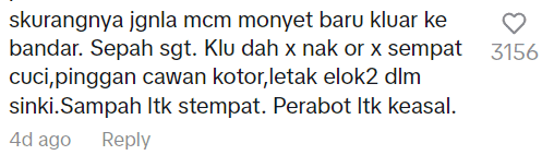 Comment on homestay cleaning debate video Screenshot 2024-12-20 112329 (4)