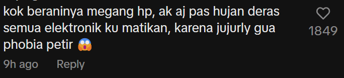 Comment on lightning strike tree beside lightning court Screenshot 2025-02-20 170303 (2)