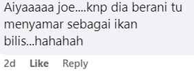 Comment on Nasi Lemak Seahorse Screenshot 2025-01-25 151827 (3)