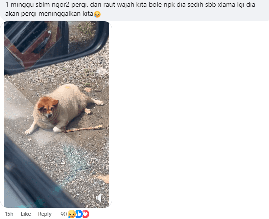 Comment on Ngor Ngor passing Screenshot 2025-01-16 143354 (1)