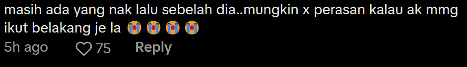 Comment on towing truck carrying container truck Screenshot 2025-03-10 174220 (1)