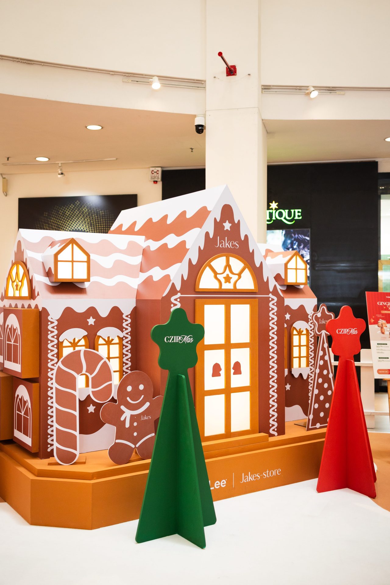 Copy of CzipMasPhotos-30