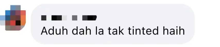 couple caught having fun while driving on highway comment 02