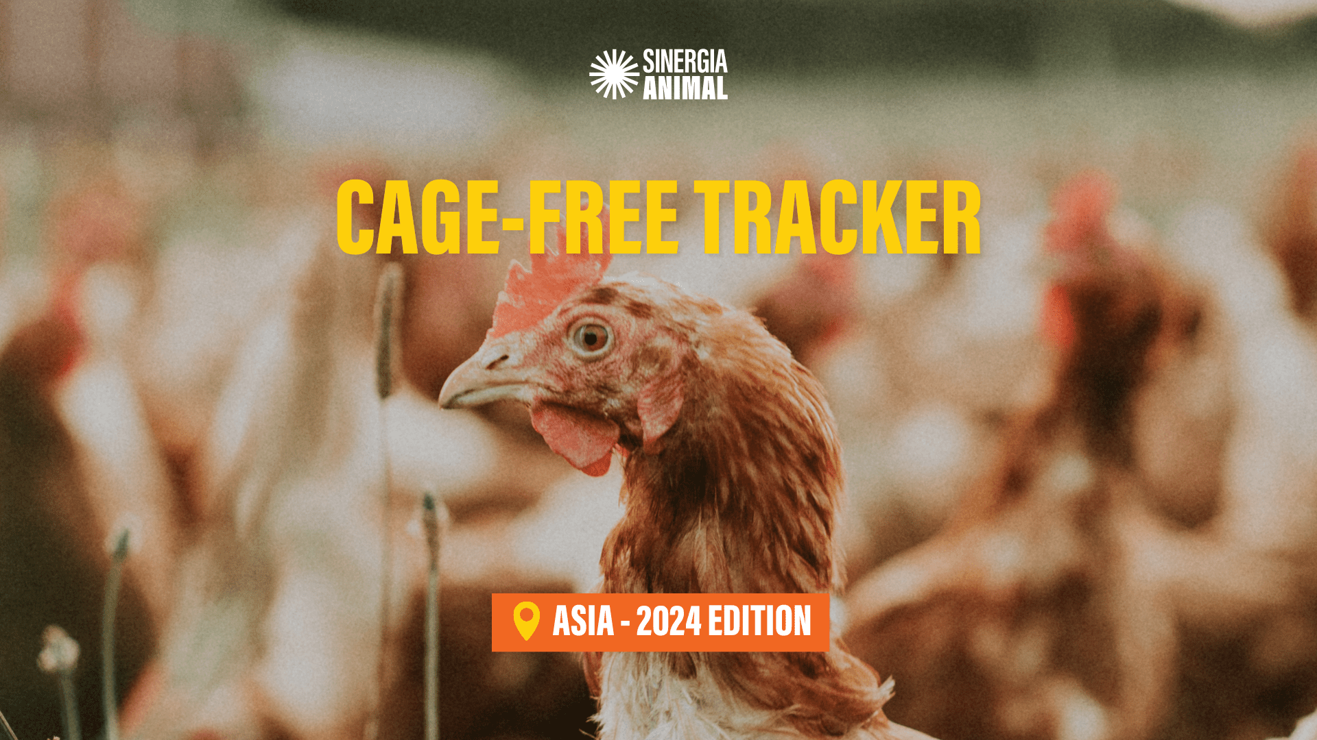 Cover of Cage-Free Tracker Report
