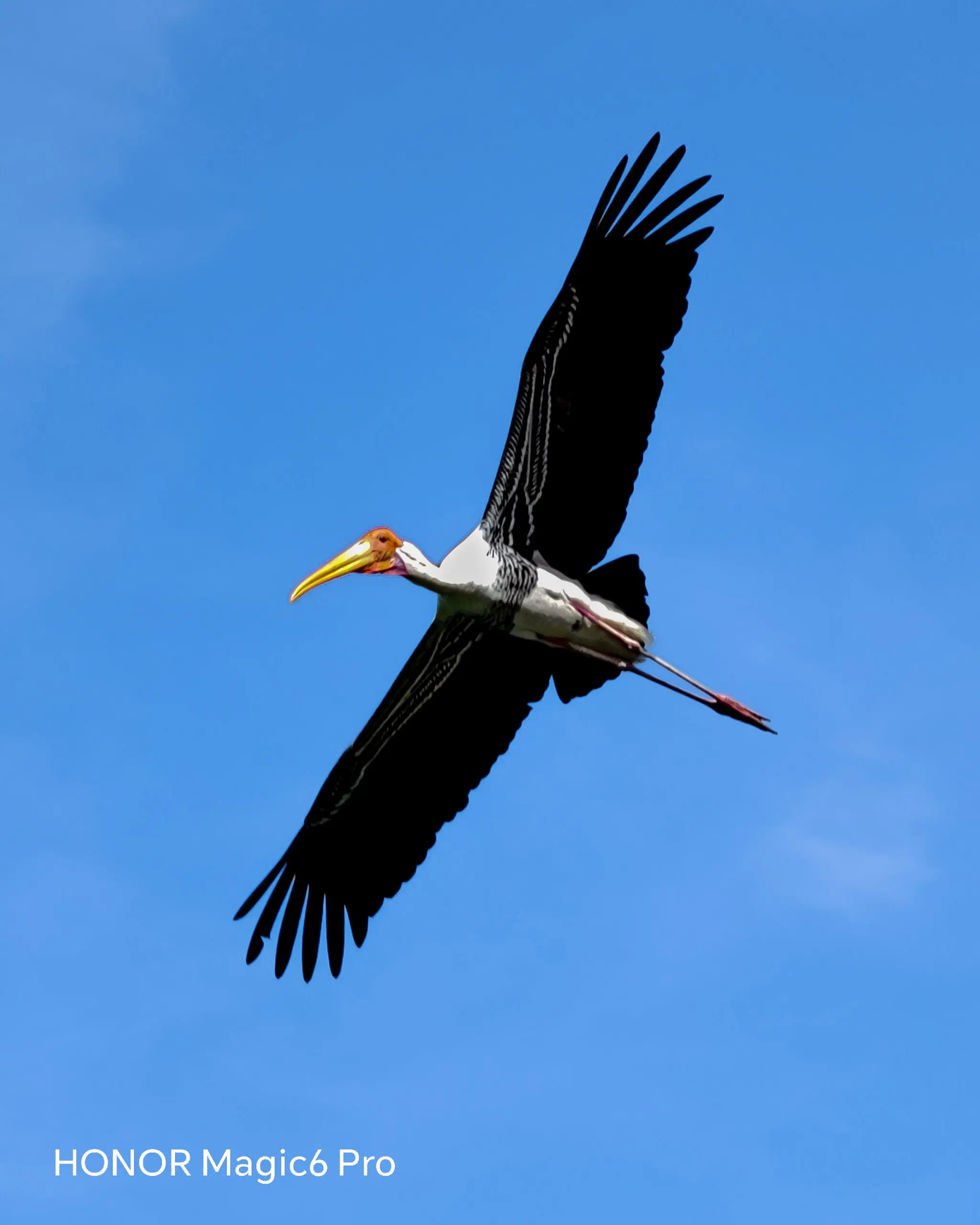 bird scenic view by Fahmie Izwan