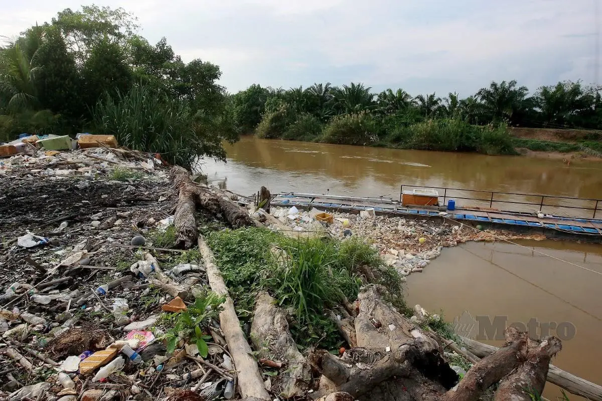 Crocodile habitat where Yap Xin Yuan's body was dumped