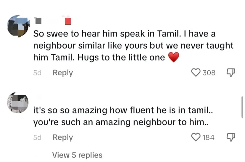 Heartwarming Clip Shows 4yo Chinese Kid Speaking Fluent Tamil With Indian Neigbour - screenshot
