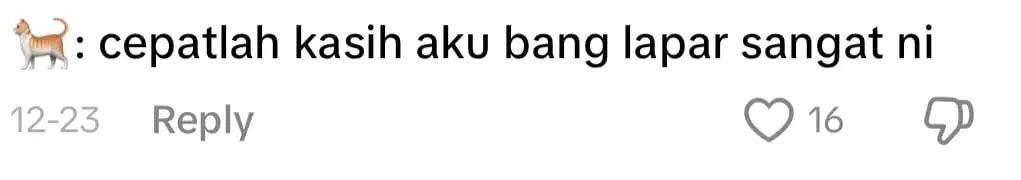 Dinner For Two? More Like Dinner For Eight As Six Chonky Cats Steal The Show comment