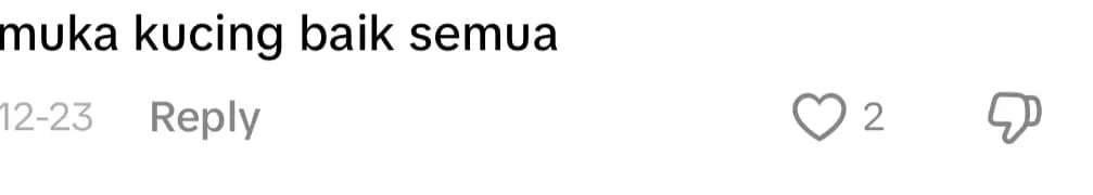 Dinner For Two? More Like Dinner For Eight As Six Chonky Cats Steal The Show comment