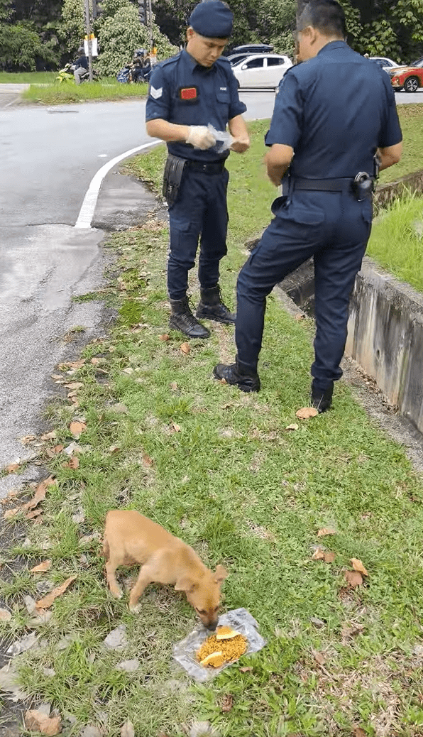 Malay M'sian Police Officer Rescues Puppy From Drain, Wins Praise Online