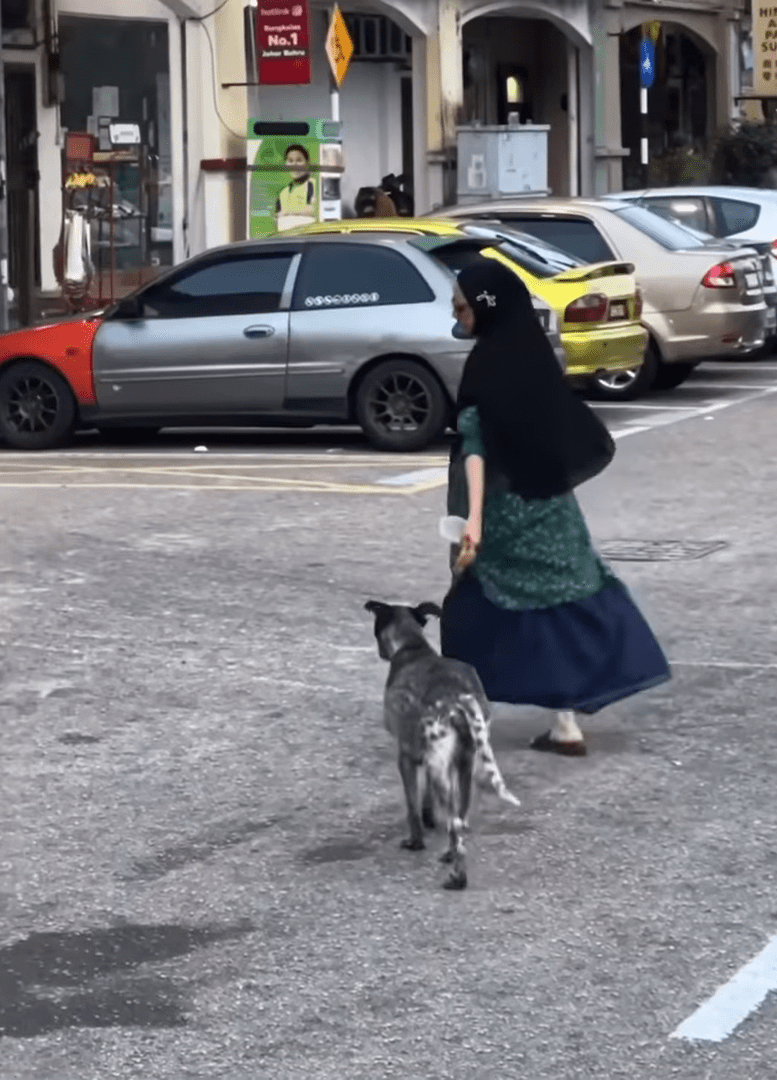 Stray dog follows makcik to the roadside
