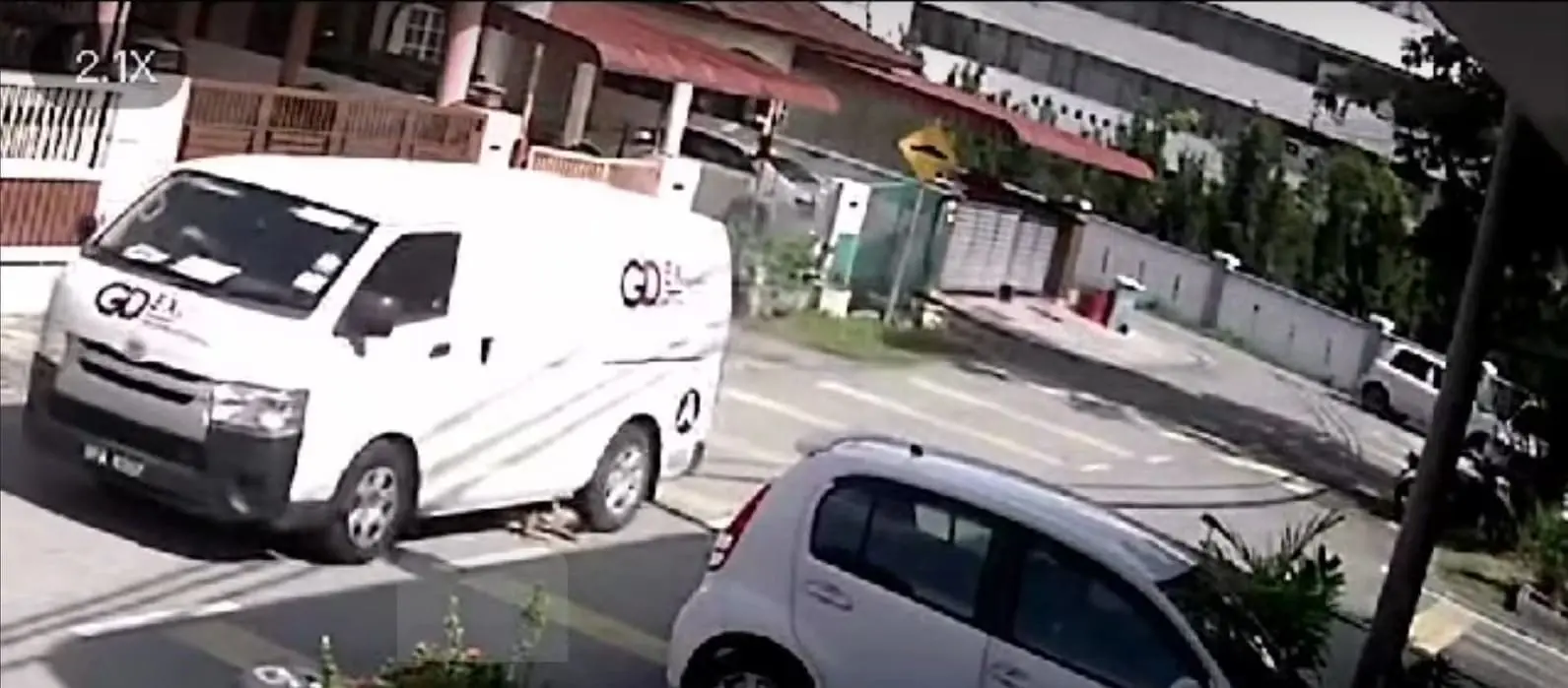 Dog gets run over by courier van