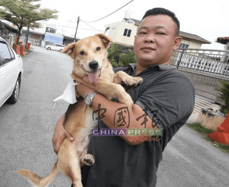 Chen Tai Yu and stray dog
