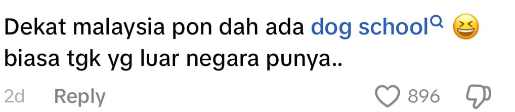 Dogs In M’sia Now Have Their Own School Bus And It’s The Cutest Thing Ever comment