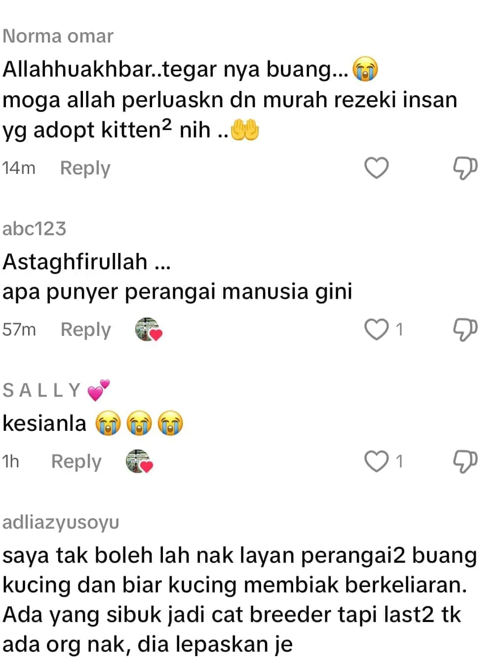 dumped kittens on top of bin - netizen reaction