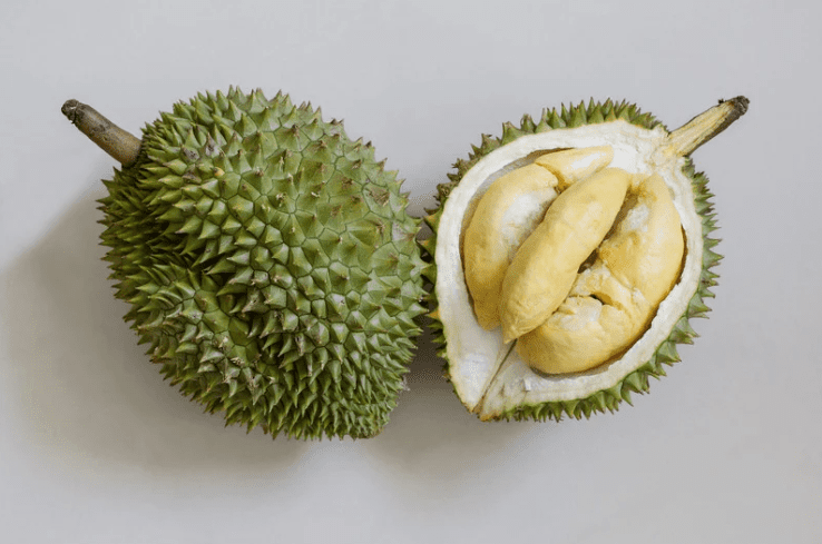 Durian which has been opened