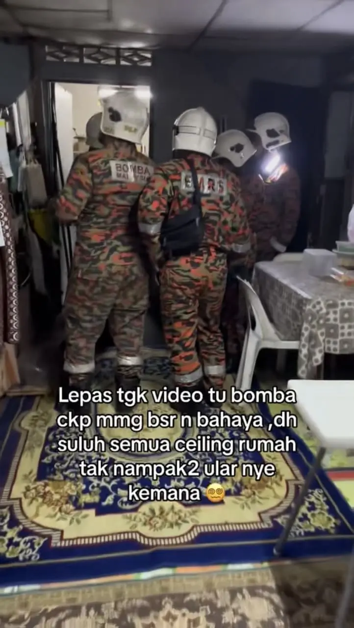 Firefighters look for python