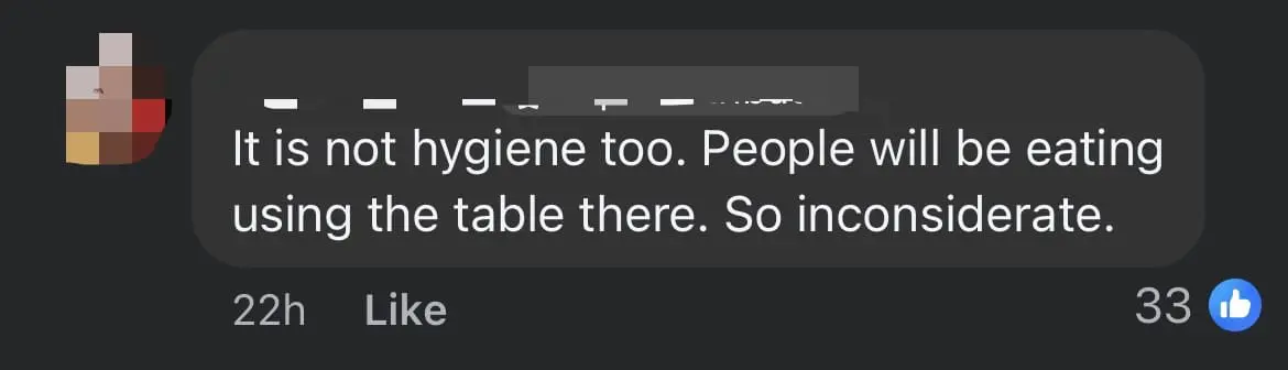 Man Slammed For Letting Child Stand On Top Of Table At Food Court In S'pore comment 3