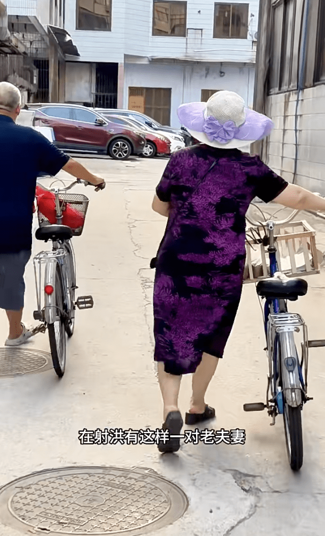 Elderly Couple In China Uses Entire Retirement Savings To Care For Stray Cats & Dogs For Over A Decade