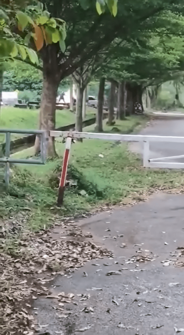 Explosion during cable theft in Ipoh