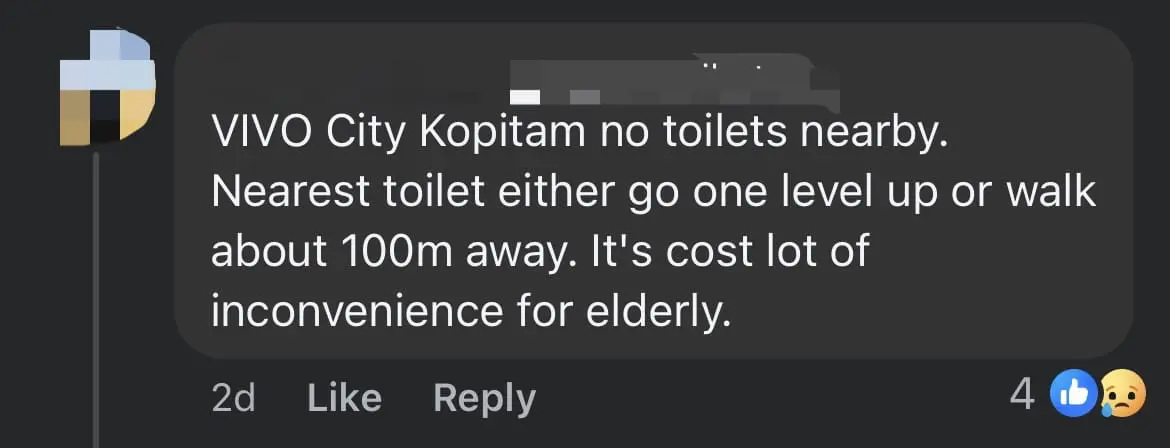 Woman Changes Her Son's Diapers In Full View Of Diners At SG Food Court comment 3