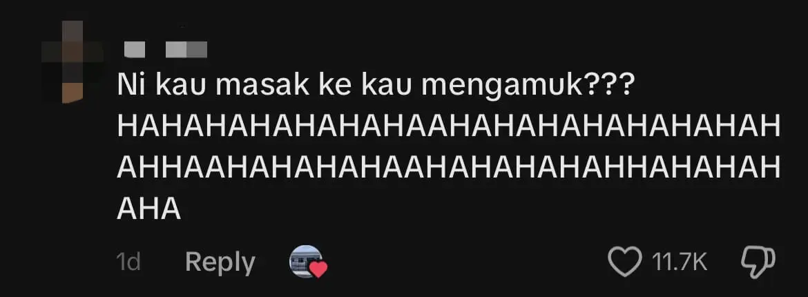 M'sian Woman Breaks Stone Mortar While Trying To Follow Khairul Aming's Ayam Gepuk Recipe comment 1