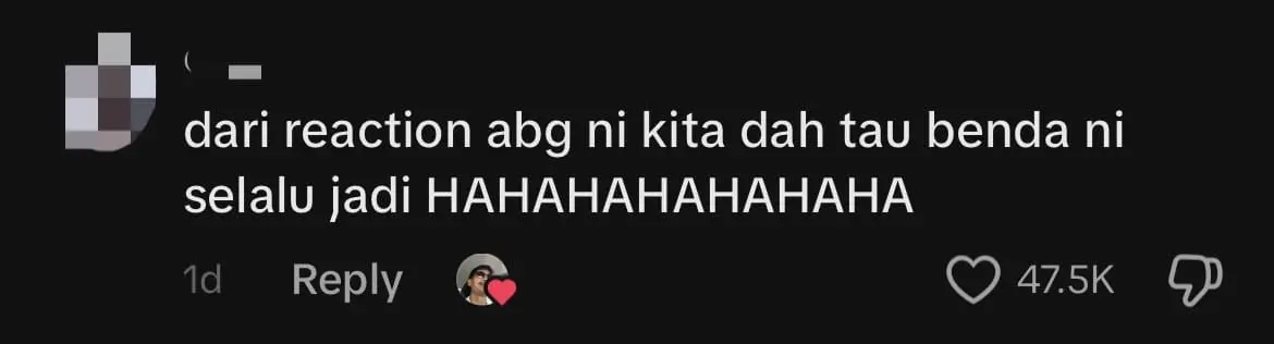 Chonky Cat Nearly Gets Stuck While Squeezing Through Grille Door Gap, Amuses Netizens comment 2