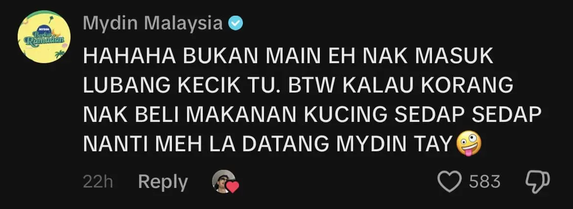 Chonky Cat Nearly Gets Stuck While Squeezing Through Grille Door Gap, Amuses Netizens comment 3