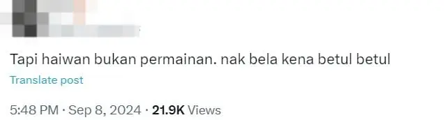 Fighting Fish Given As Door Gift At Wedding, M'sians Divided Over It (2)