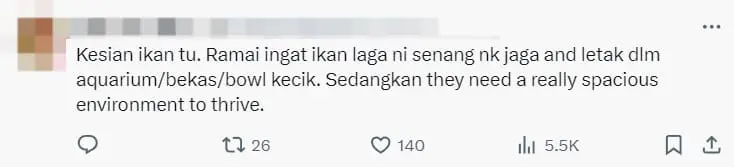 Fighting Fish Given As Door Gift At Wedding, M'sians Divided Over It (4)