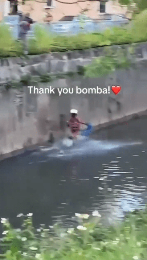 firefighter running chasing a cat in a drain