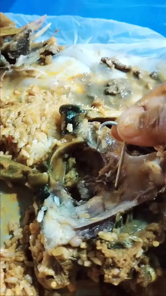 fishhook found stuck into fishhead