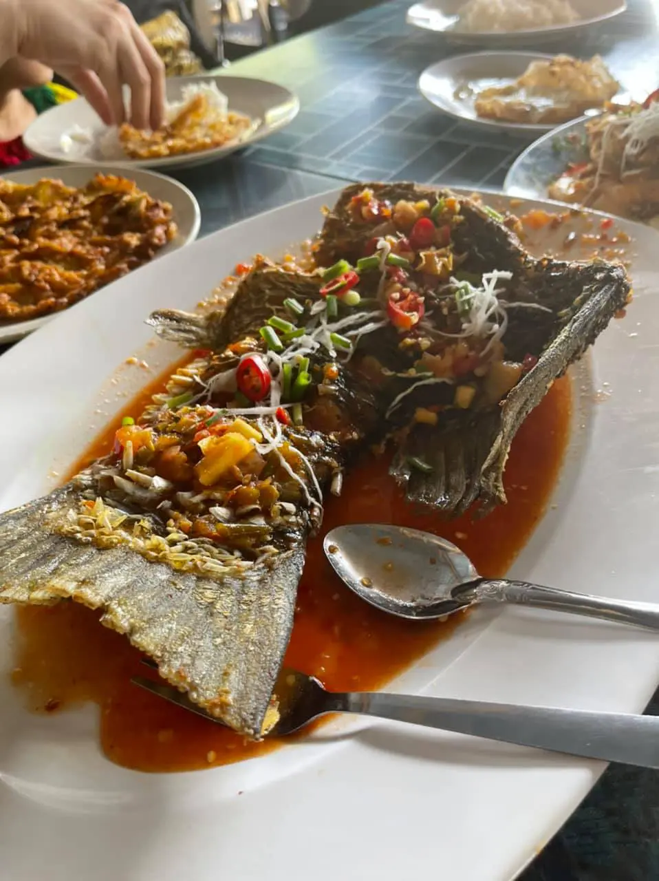 Siakap fish billed at RM1,196.80