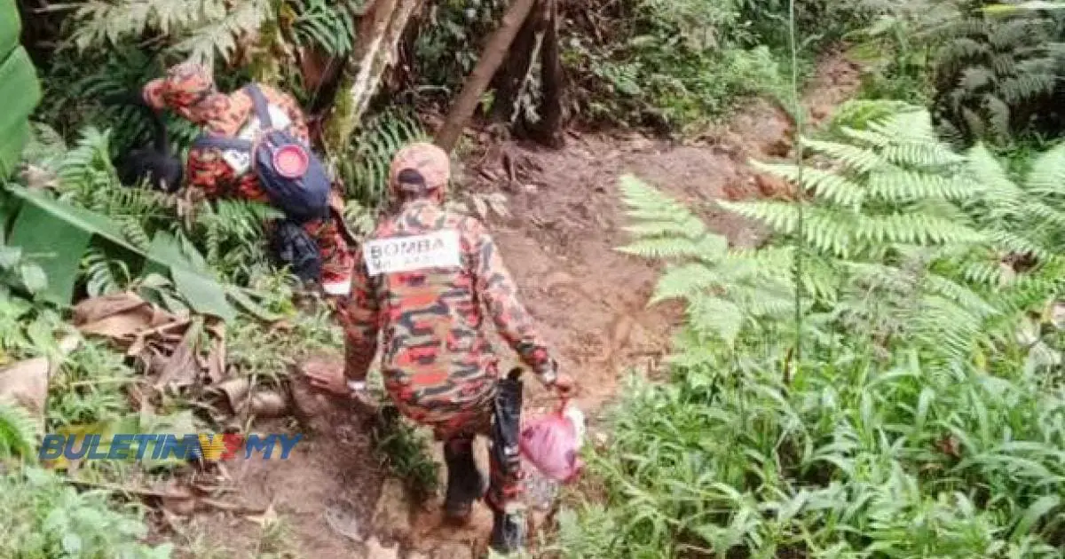 Firefighters, along with a K-9 dog, are looking for the missing Indian hiker.