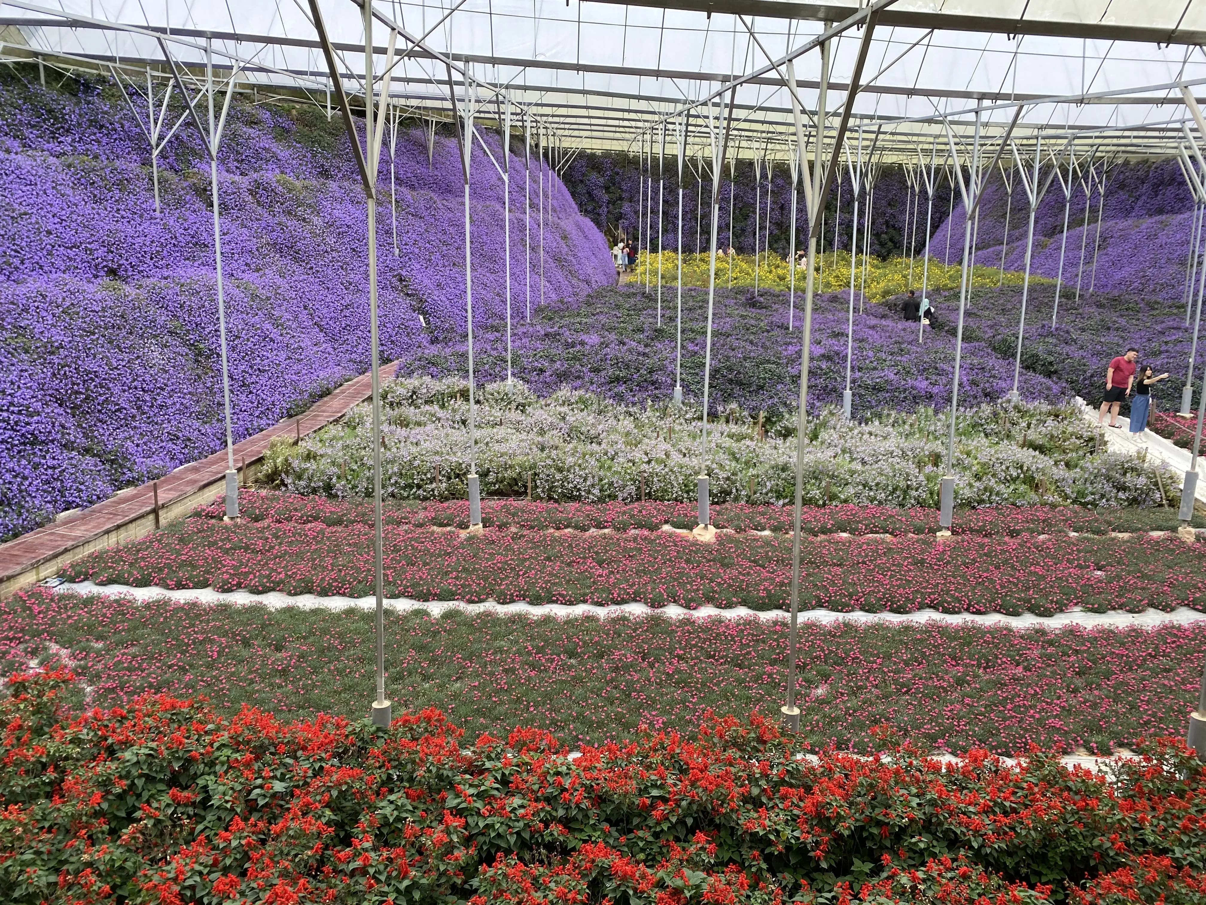 flora park at cameron highlands