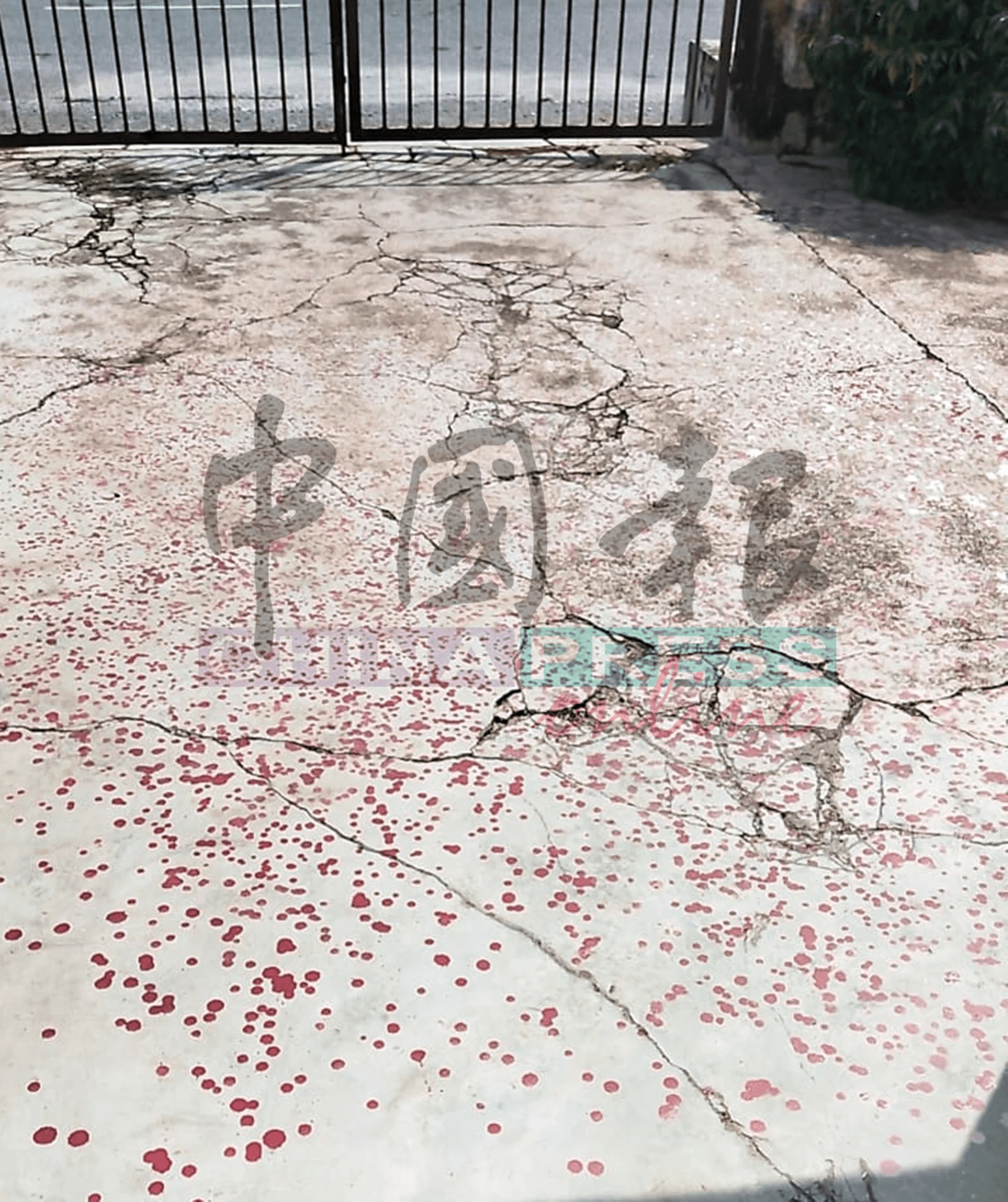 Foo retelling loan shark story (2)