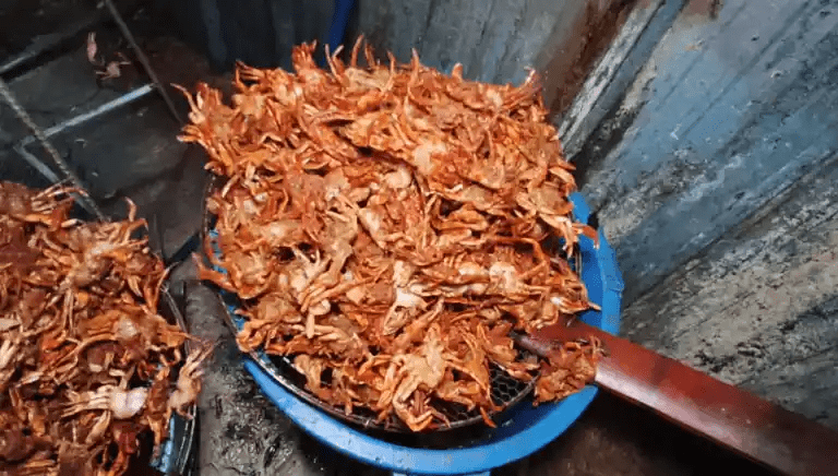 Fried baby crabs stored inside strainer