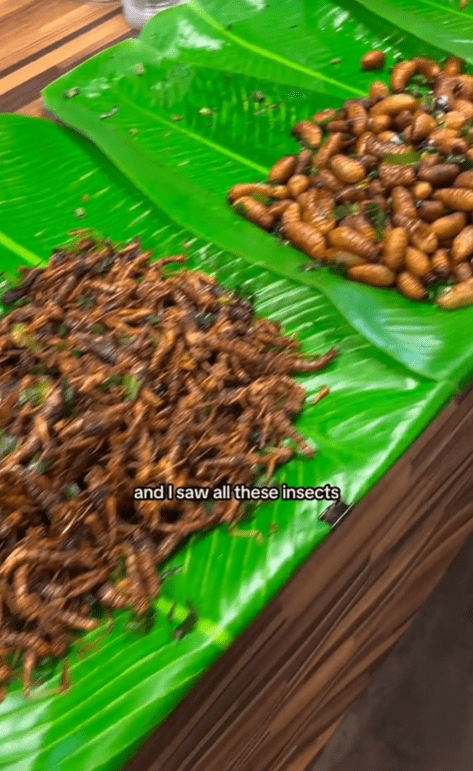 Fried insects at Bangkok night market